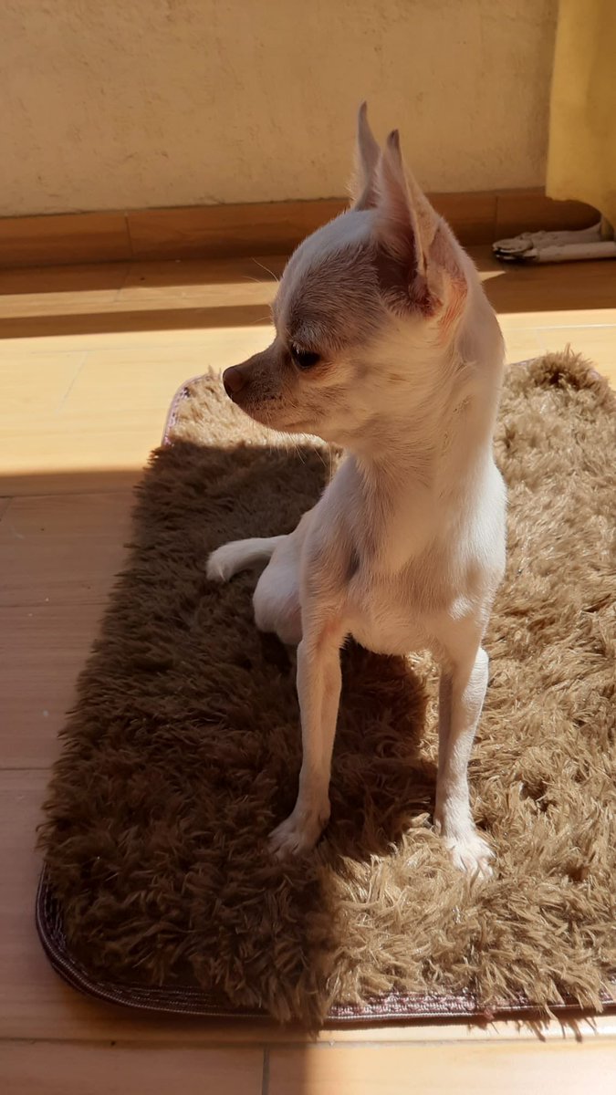 Mirycleo's tweet photo. Mi modelaza preciosa 💕🥰 
Clo for ever. https://t.co/qOFJR0ug8C