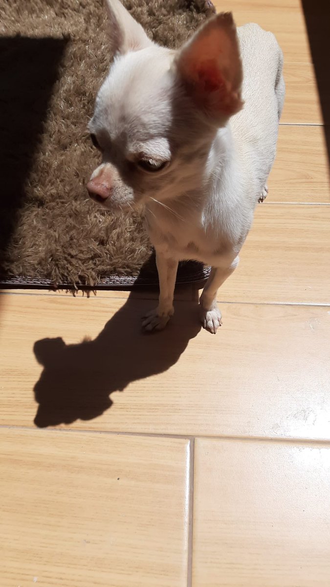 Mirycleo's tweet photo. Mi modelaza preciosa 💕🥰 
Clo for ever. https://t.co/qOFJR0ug8C