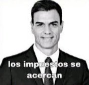 PedroCostasPre1's tweet photo. @zapatosdepolla Trato https://t.co/XVbmVHj6zl