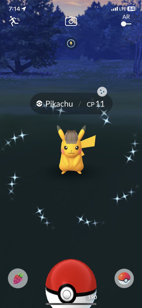 AshTheeKetchum's tweet photo. Morning walk was absolutely cracked ✨ https://t.co/EmsHId1htq