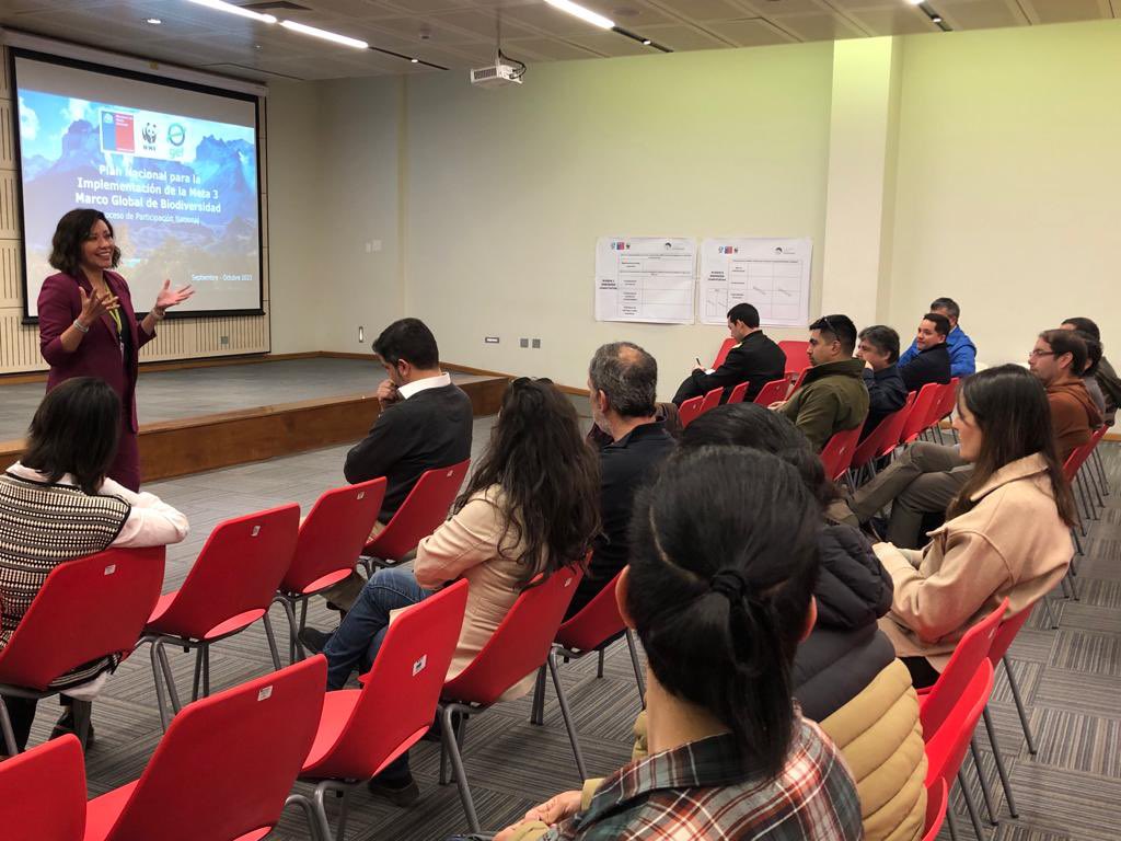 MMAmaule's tweet photo. #MMAInforma ¡En estos momentos! Se lleva a cabo el taller participativo por el diseño del “Plan Nacional para la Implementación de la Meta 3 del Marco Global para la Biodiversidad Post 2020”, en base a un proceso nacional de participación 👥💪🏾 https://t.co/IdYwMnoB9T