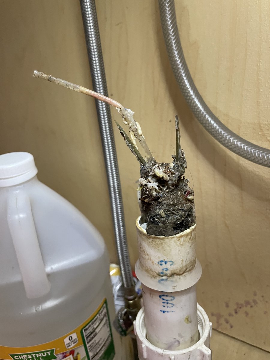 SewerCleaningCo's tweet photo. Blocked drains are a recipe for disaster. Stay ahead of the game by booking our drain cleaning services! Your pipe will thank you! 440-290-6055 #pipecleaning #dirtyjobs #backup #blockage #excellentservice #cloggeddrain #wecanfixit #pipes #wipesclogpipes https://t.co/V4YFAFXofp