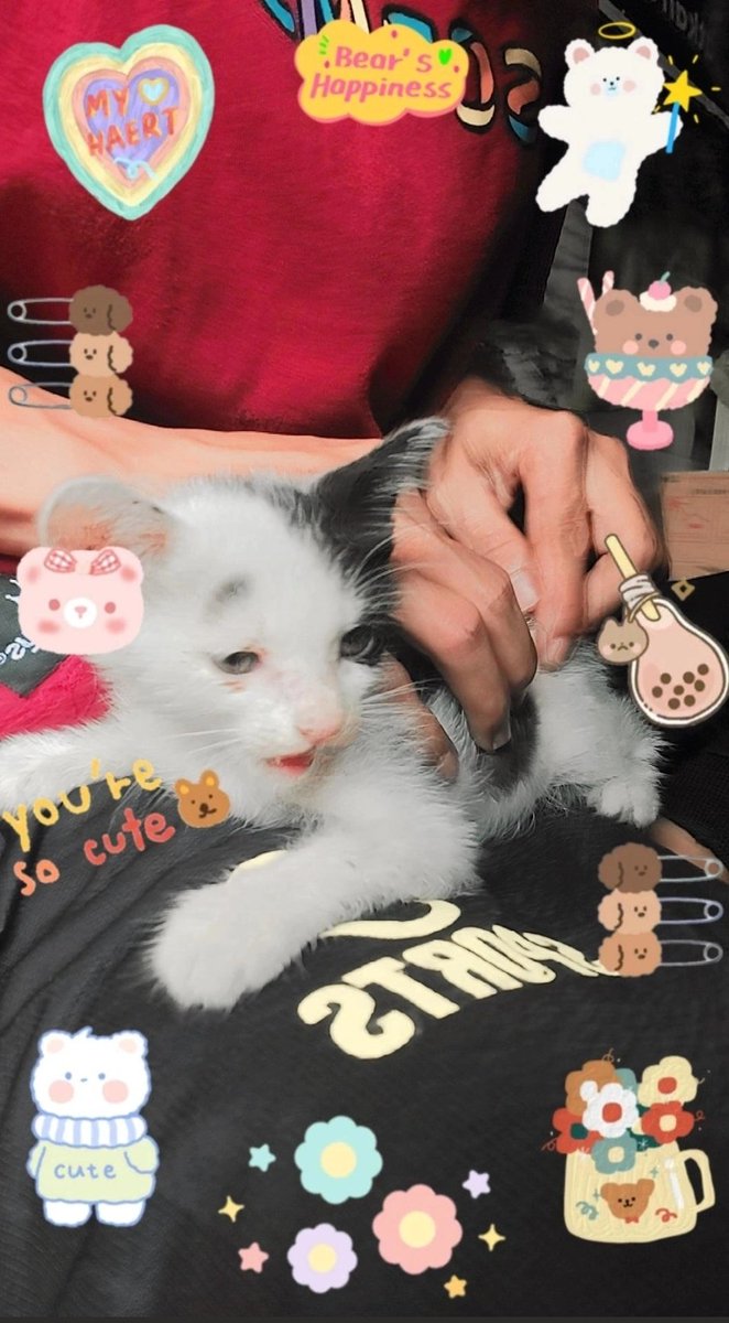 ojelagikan's tweet photo. Comel❤️ https://t.co/VSSyE5aAEo