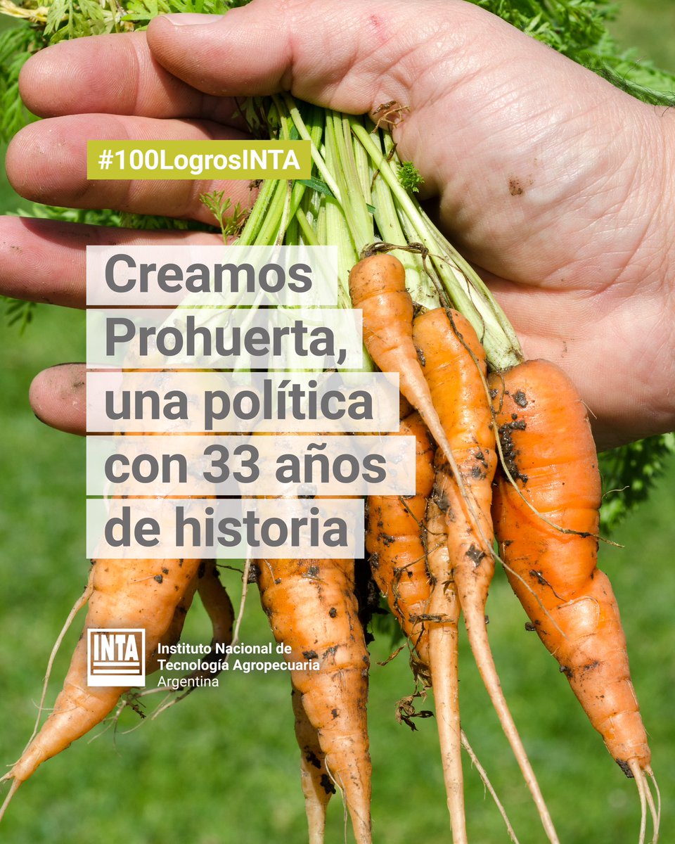 intaargentina's tweet photo. Junto al @MDSNacion llevamos adelante @prohuerta desde un abordaje territorial integral y una perspectiva de desarrollo sostenible. El programa tiene casi 735 mil kits de semillas entregados, y más de 650 mil huertas y granjas asistidas.

#INTAesTrayectoria #100LogrosINTA https://t.co/IZjveNMXr1