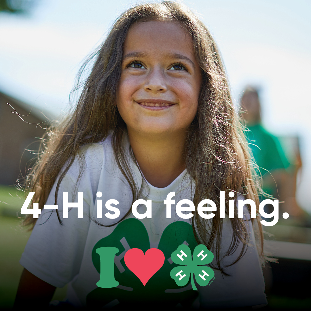 USDA_NIFA's tweet photo. NIFA is investing $3.6 million across five projects at three Land-grant Universities relating to youth and 4-H military programs. Read more on the programs at @KState, @NCState and @LifeAtPurdue! #4HWeek 🍀
▶️ https://t.co/aUKU53qtsv https://t.co/qhdFD2Shr8