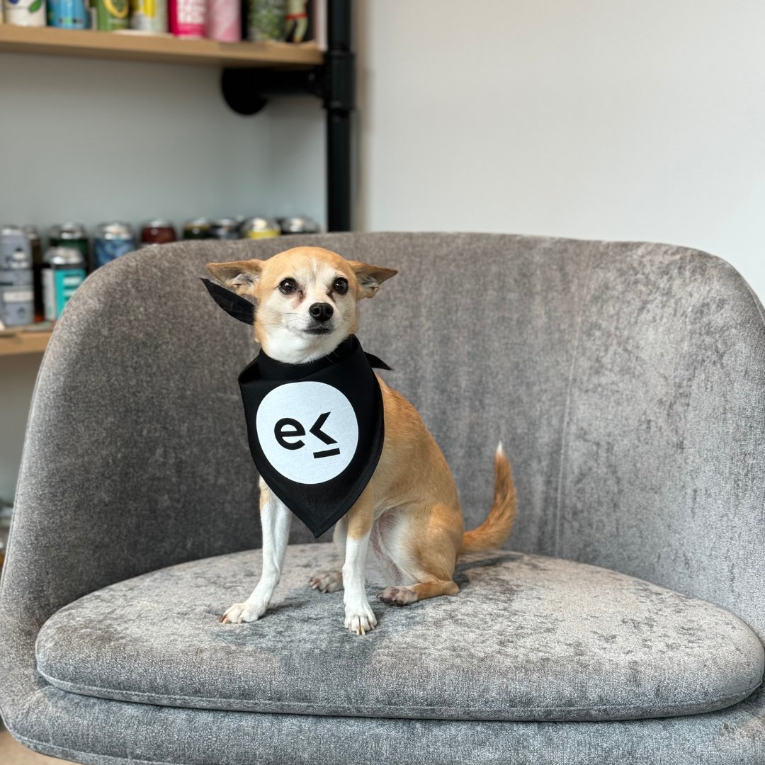 Did you know it's World Smile Day? We hope Zucchini, the office dog, makes you smile on this beautiful Friday. 

#goekos #officedog #worldsmileday #smilemore #ekosdog #dogsincharlotte #brewerymanagementtech