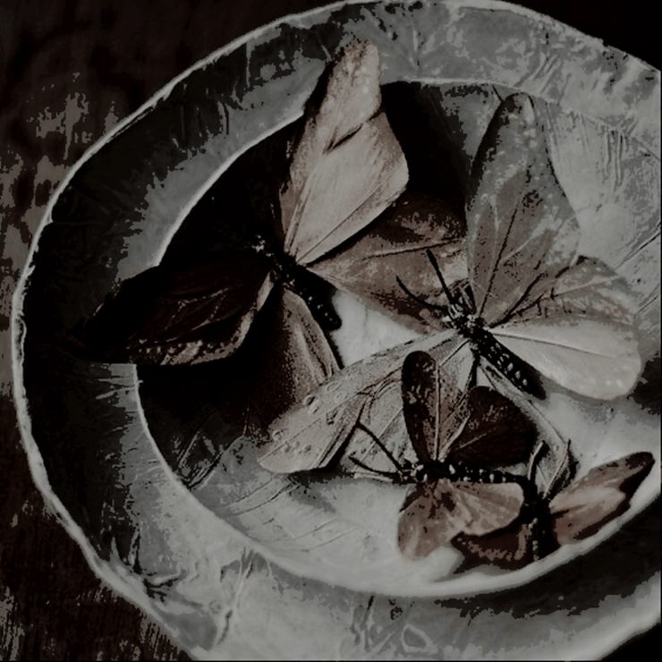 ᅟᅟ  

               𝑯𝐄𝐋𝐀𝐄𝐍𝐀       𝑻𝐀𝐑𝐆𝐀𝐑𝐘𝐄𝐍.
               𝚘𝚏  𝚙𝚘𝚛𝚌𝚎𝚕𝚊𝚒𝚗  𝚊𝚗𝚍  𝚏𝚒𝚛𝚎.
               prophet child. 𝐝͟𝐫͟𝐞͟𝐚͟𝐦͟𝐞͟𝐫 𝐨𝐟
                               𝒅𝒆𝒔𝒕𝒊𝒏𝒚.

  ᅟᅟ