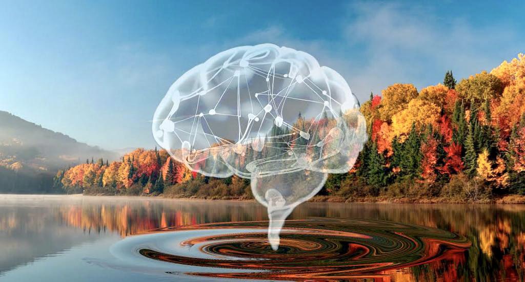 Karim Jerbi (@karimjerbineuro) on Twitter photo Tenure Track Position Alert 🧠🤖
We are hiring an Assistant Professor in Cognitive & Computational Neuroscience @ the Psychology Dept, University of Montreal!
Find out more:
👉 tinyurl.com/36bk5e9e
<a href="/uMontreal_news/">uMontreal News</a> <a href="/UMontreal/">Université de Montréal</a> <a href="/FASNouvelles/">FAS-UMontréal</a> #academia #neuroscience <a href="/IVADO_Qc/">IVADO</a> Tenure Track Position Alert 🧠🤖
We are hiring an Assistant Professor in Cognitive & Computational Neuroscience @ the Psychology Dept, University of Montreal!
Find out more:
👉 tinyurl.com/36bk5e9e
<a href="/uMontreal_news/">uMontreal News</a> <a href="/UMontreal/">Université de Montréal</a> <a href="/FASNouvelles/">FAS-UMontréal</a> #academia #neuroscience <a href="/IVADO_Qc/">IVADO</a>