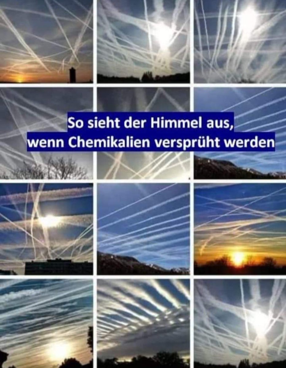 serbanhercule's tweet photo. @Ricarda_Lang @GreensEFA Klimaidiote 🤡🤡 https://t.co/zYRwLpRcHb