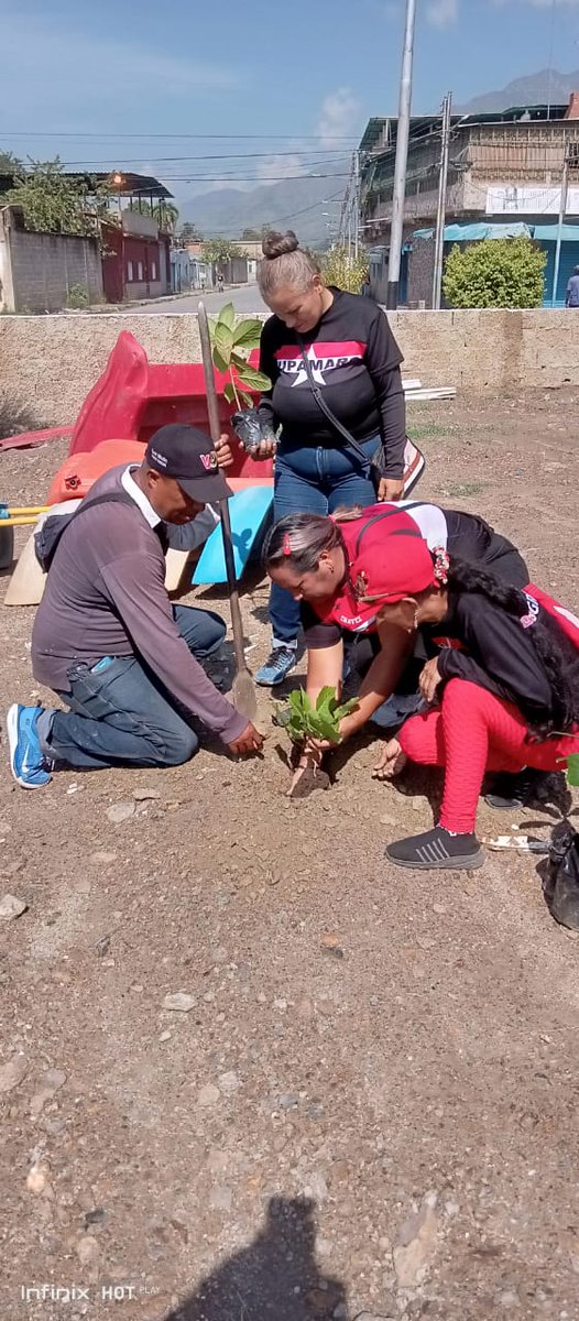 #6Oct Desde la comunidad Rosa Inés Nuestra Militancia rebelde @TupamaroMRT  con nuestra secretaria <a href="/NagualiSanchez/">Naguali Sanchez</a> constribuyendo con la perseverancion del planeta se realizó siembra d plantas del vivero municipal Tupa Florece 
#EjemploDeLucha
#DefendemosLoNuestro
<a href="/NicolasMaduro/">Nicolás Maduro</a>