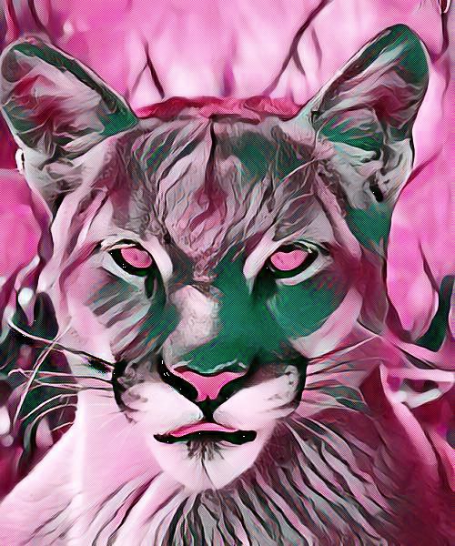 ArtMaps_NFT's tweet photo. PUMA https://t.co/hUMcFnRG05