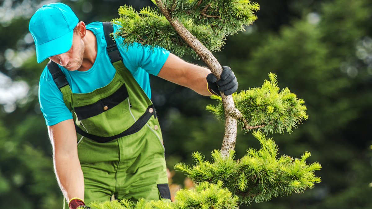 GreenSpaceHub's tweet image. 🌳 NEW JOB as as an Arborist in Woodgreen
As an arborist, you are specialised in caring for trees, which includes pruning, trimming, diagnosing and treating tree diseases, and promoting their overall health and safety.

Apply TODAY 👉 greenspaceskillshub.london/job/arborist/

#gssh #greenlondon