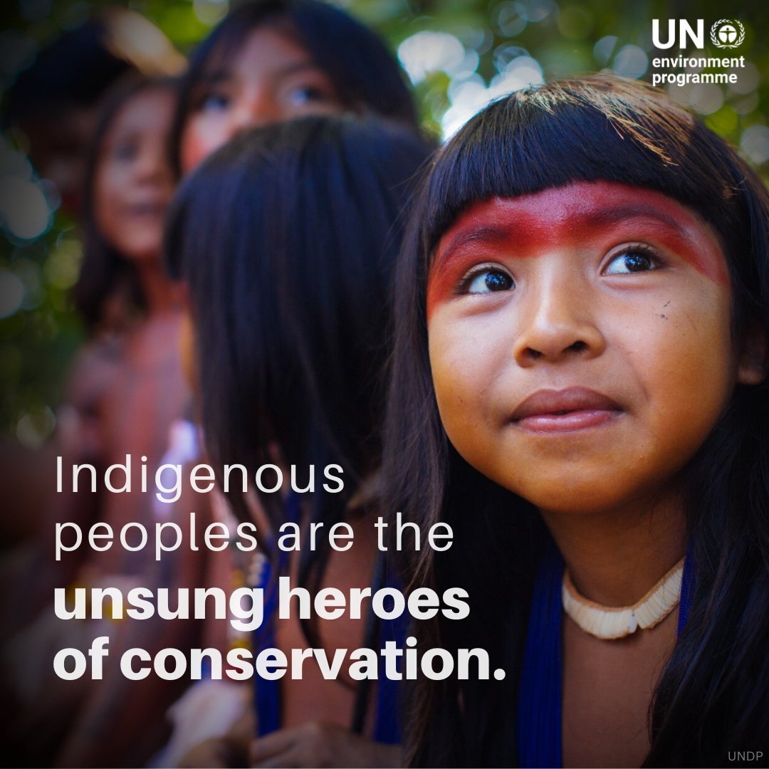 Every year, the world loses 12 million hectares of forests due to deforestation.

Indigenous peoples are on the frontline of global conservation efforts, but greater support is needed as they fight for our planet’s ecological well-being. unep.org/news-and-stori…