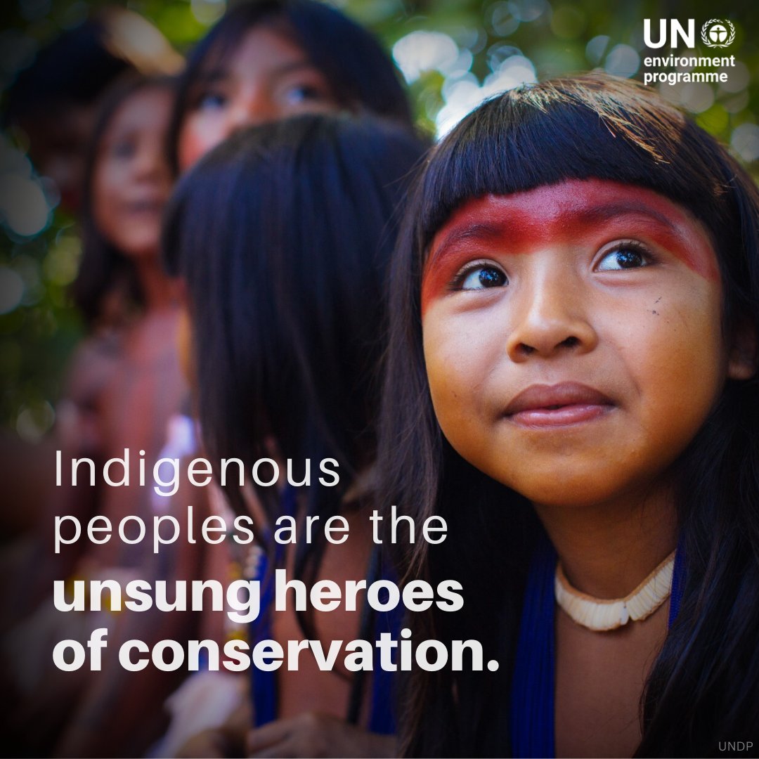 Every year, the world loses 12 million hectares of forests due to deforestation. Indigenous peoples are on the frontline of global conservation efforts, but greater support is needed as they fight for our planet’s ecological well-being. unep.org/news-and-stori…