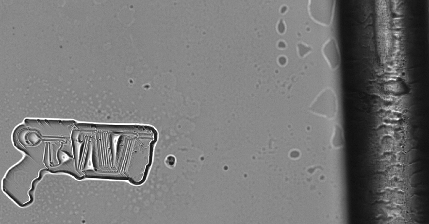 Microlight3D tweet media