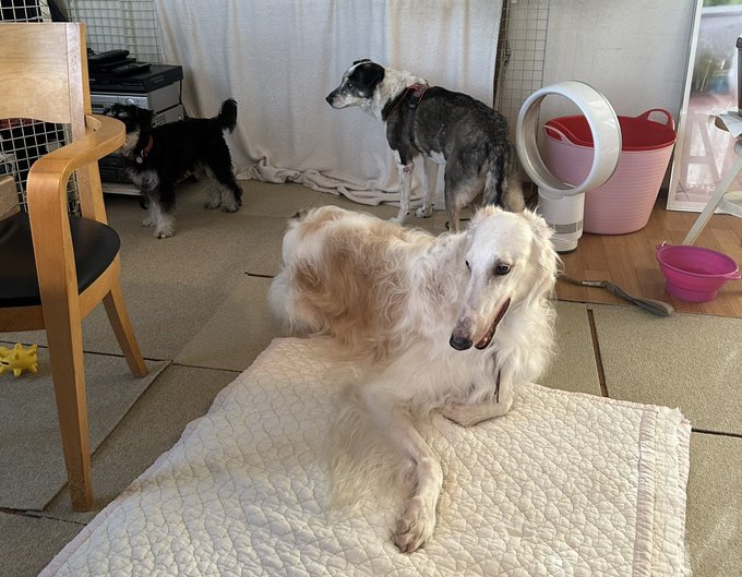 風祭ゆき’s pics and videos