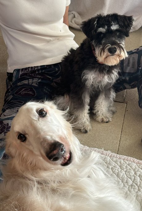 風祭ゆき’s pics and videos