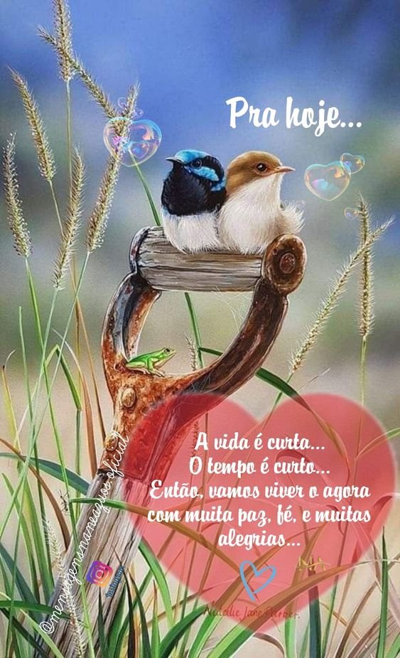 Natagi92's tweet photo. Feliz sexta, minha #gentepoderosa !
Um punhado de #Paz e #alegria procês tudo!!🥰🖤❤️ https://t.co/oJb52bnePw
