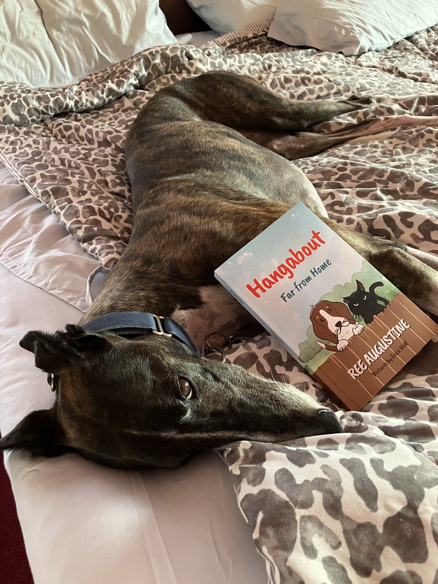 ReeAugustine's tweet photo. Hangabout loves to journey. His story can be read anywhere. #middlegrade #teachers #educators #books #readersoftwitter #camping #beach #Mgin23 #libarians #elementary https://t.co/IJdz7pzUbT