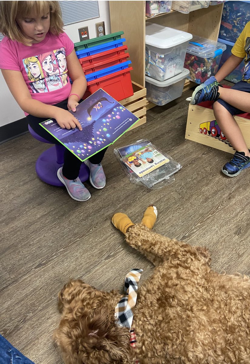 Angel Paws CFBC tweet media