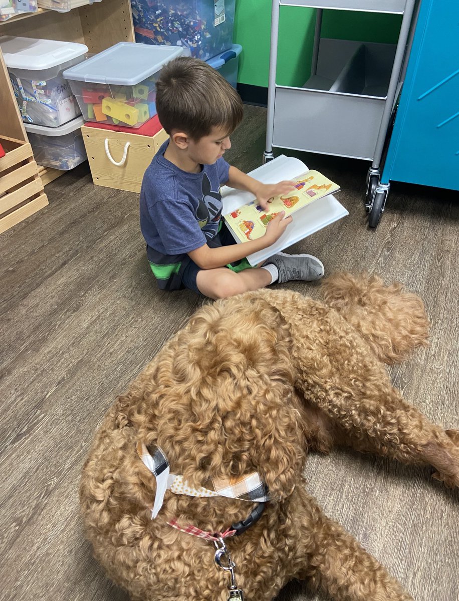 Angel Paws CFBC tweet media