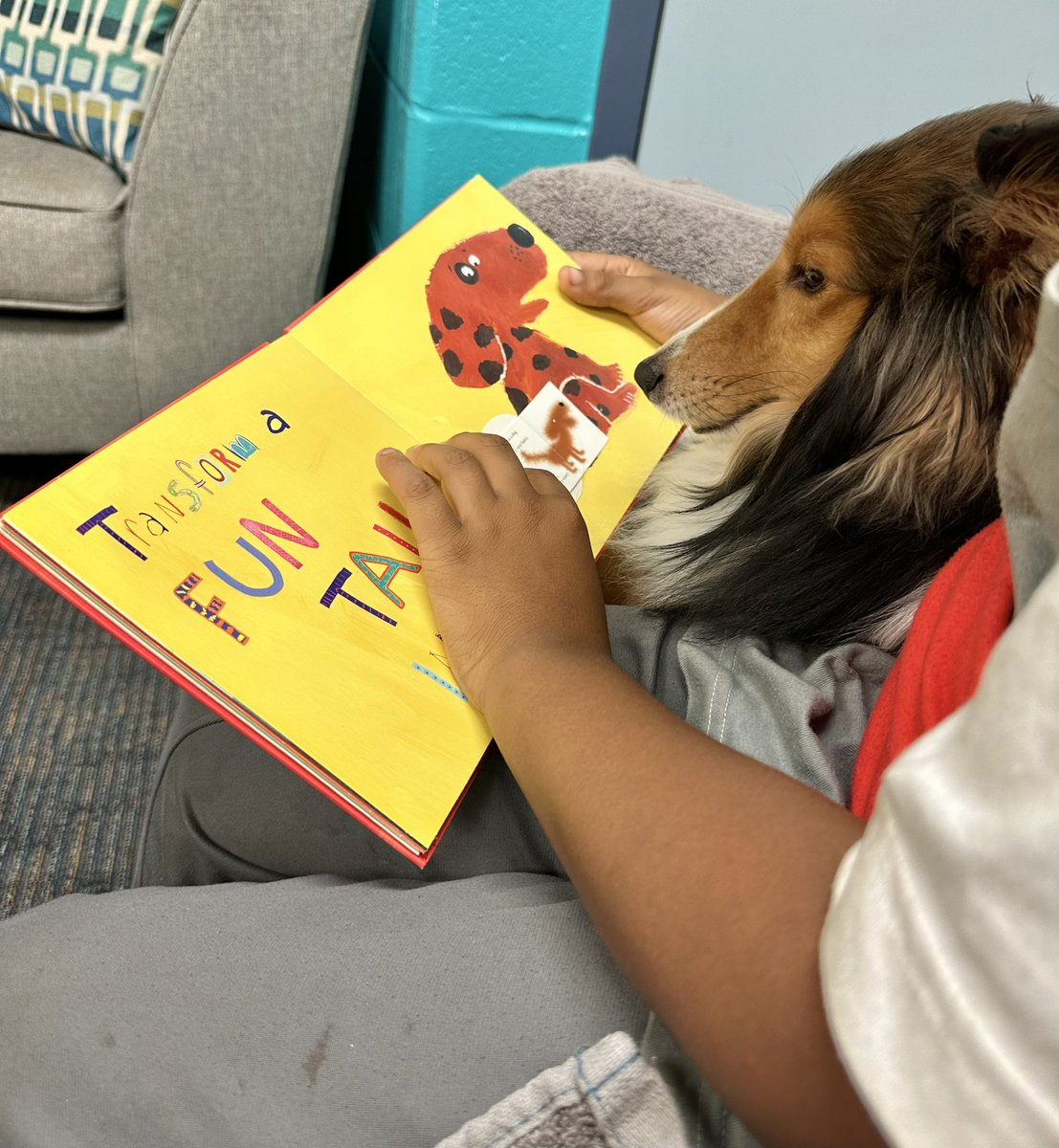 Angel Paws CFBC tweet media