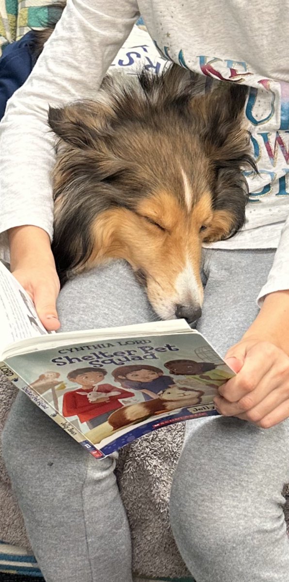 Angel Paws CFBC tweet media