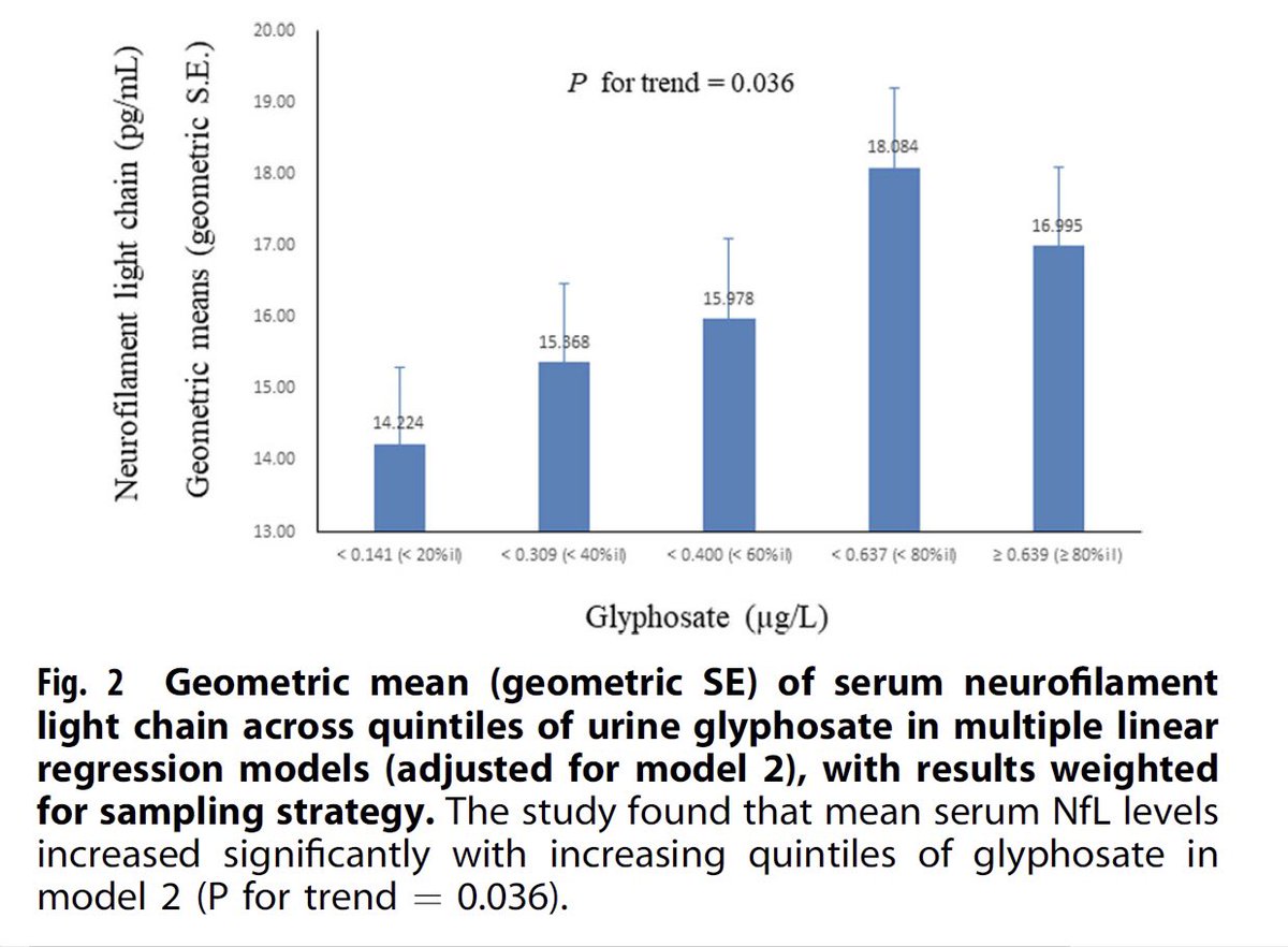 Zorgwekkende studie die blootstelling #glyfosaat koppelt aan hersenschade. Concentratie glyfosaat in urine correleert aan serum NFL (neurofilament light protein), betrouwbare marker voor #Parkinson, #Alzheimer, #ALS in algemene populatie, niet eens mensen die werken met glyfosaat