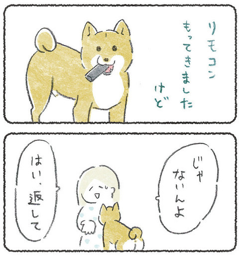 いろいろ持ってくる🐕 