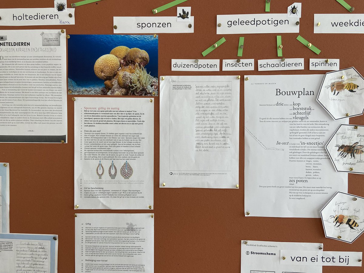 Het thema ‘Bij de beesten af’ loopt bijna ten einde. We hebben in de BB voortborduurt op de kennis die de lln hebben opgedaan in de MB. Vlg week sluiten we samen met ouders af, tijdens het presenteren van de maakopdracht.<a href="/Turingschool020/">Alan Turingschool020</a>