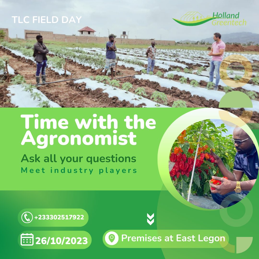 Holland Greentech Ghana tweet media