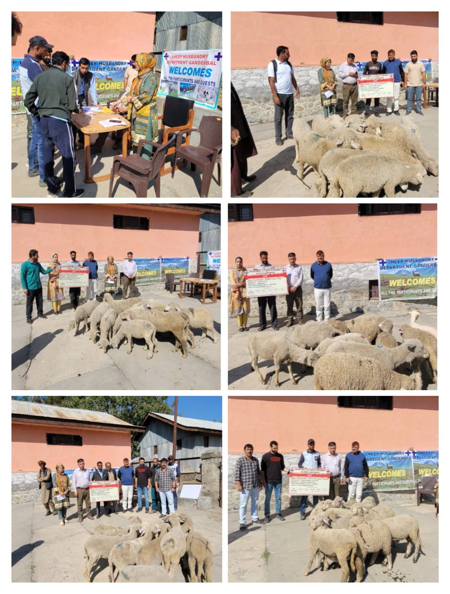 DSHOGanderbal's tweet photo. #AzadiKaAmritMahotsav
Five (05) units under Tribal Sub Plan #TSP established in favour of ST beneficiaries in district Ganderbal on 05-10-2023 
@dcganderbal 
@CentreGanderbal 
@DirSHDK 
@diprjk https://t.co/7jb4OhSfST