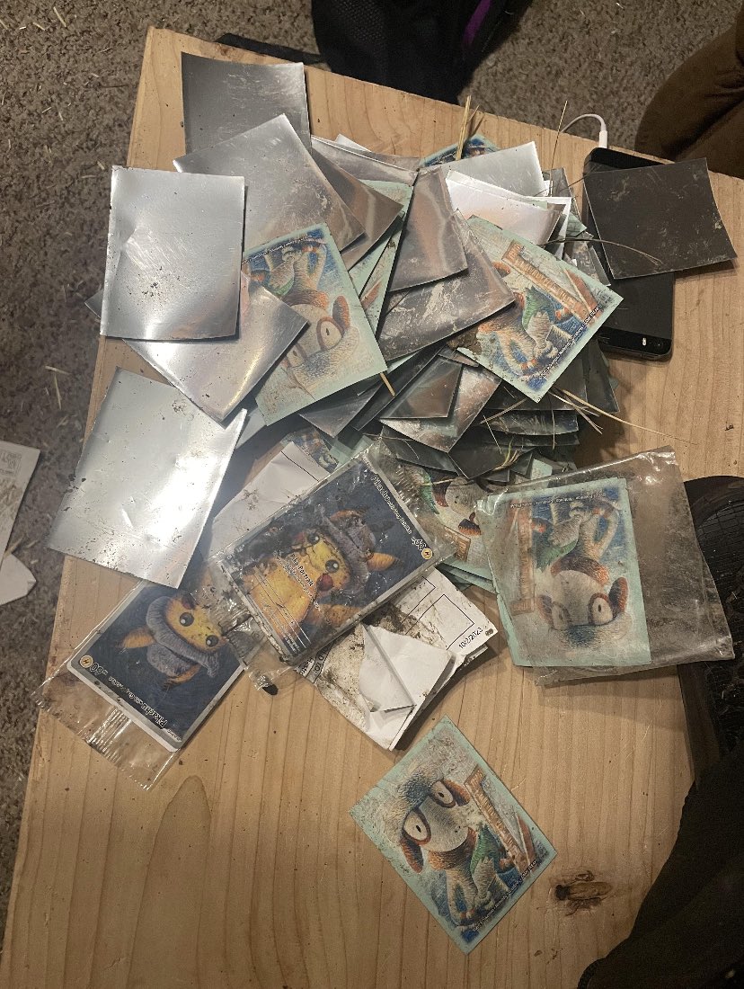 PokeTCGiveaways's tweet photo. A FedEx driver threw this guys package into his yard whilst he was at school, his animals got hold of it and did this to his Smeargle sleeves and Pikachu promos…😭

📸 Reddit: u/Mrpuffpuff196

#PokemonTCG | #PokemonVanGogh https://t.co/K6g81C3ZXL