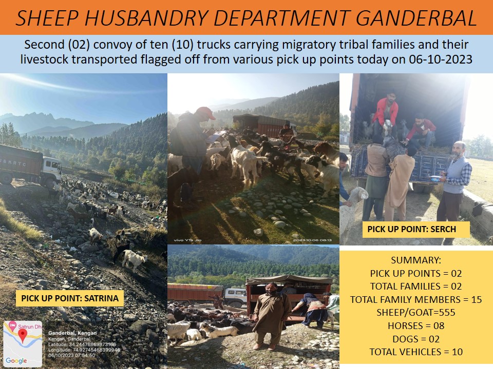DSHOGanderbal's tweet photo. #Transhumance
Second batch of ten(10) trucks carrying #migratorytribals and their #livestock flagged off from Ganderbal to various districts of Jammu division today on 06-10-2023 
@dcganderbal
@CentreGanderbal 
@diprjk 
@DirSHDK 
@TranshumanceGbl 
@listenshahid 
@OfficeOfLGJandK https://t.co/wWJkHN1HsG