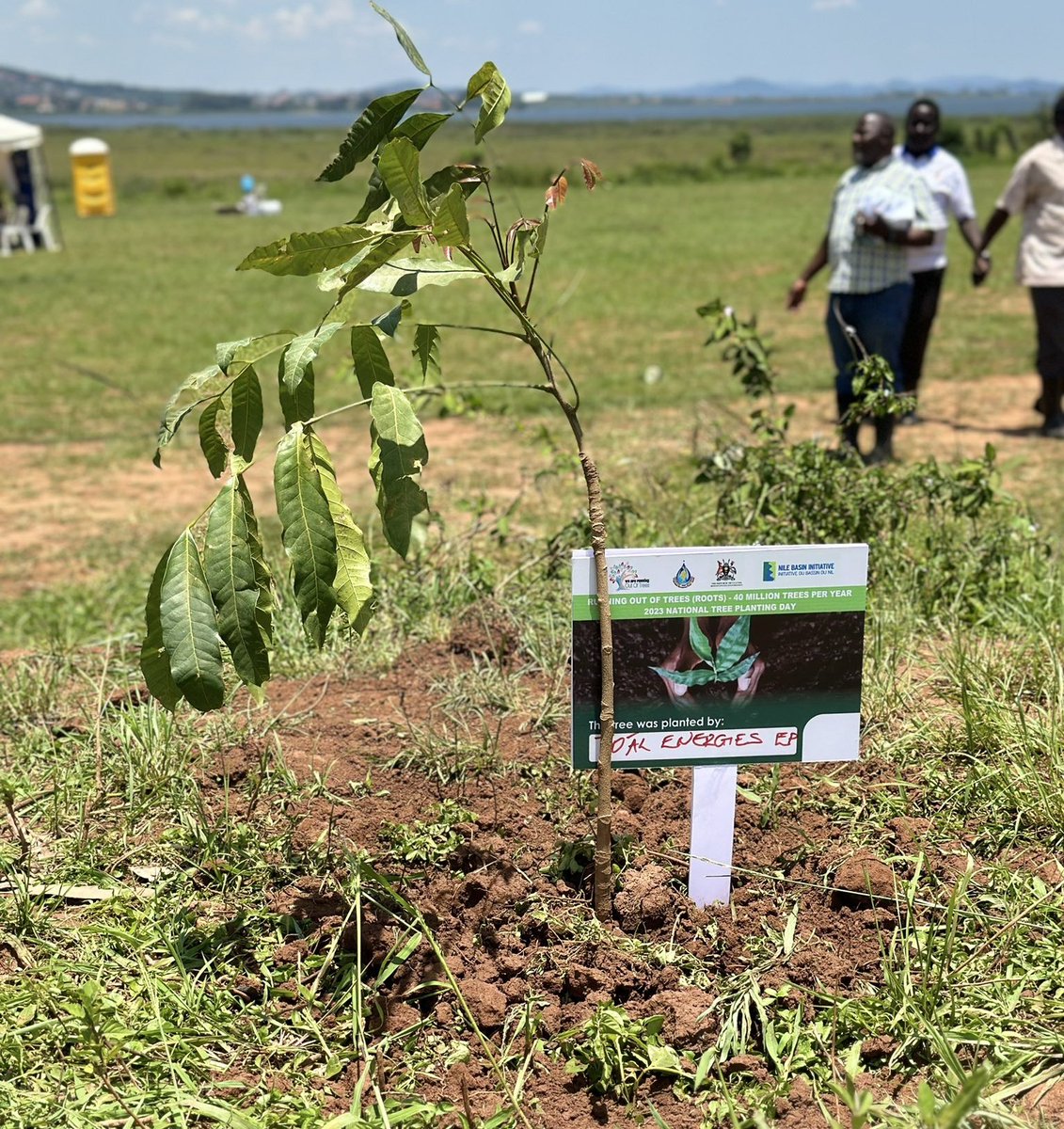 diariesofamuse's tweet image. Little Green Choices: &quot;if we don&apos;t save the environment, the environment won&apos;t save us.&quot; @TotalEnergiesUG EP Uganda joined the #runningoutoftrees  campaign as part of its initiative to create greater awareness for the need to restore our forests. #runningoutoftrees