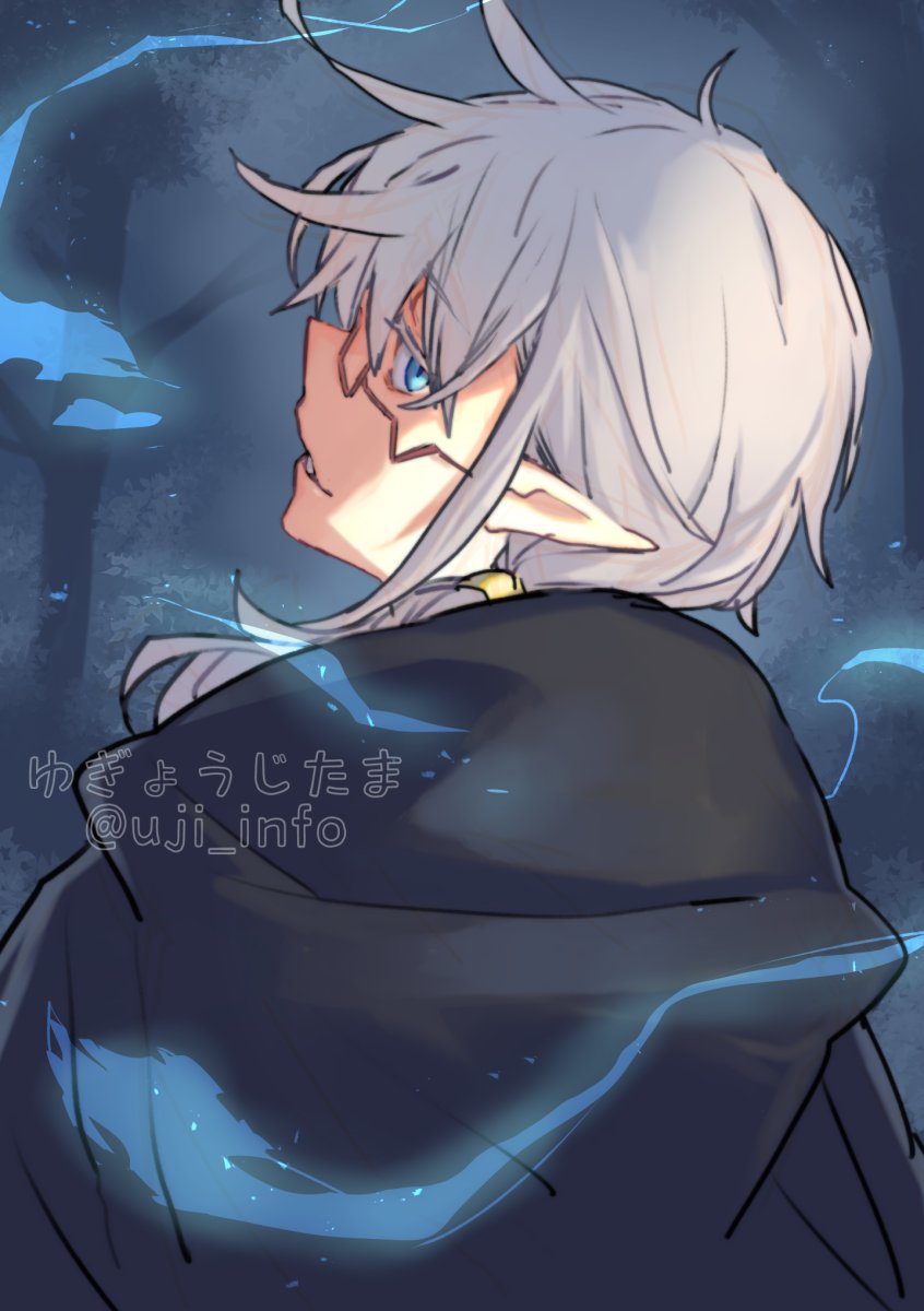 pointy ears 1boy male focus solo blue eyes looking back grey hair  illustration images