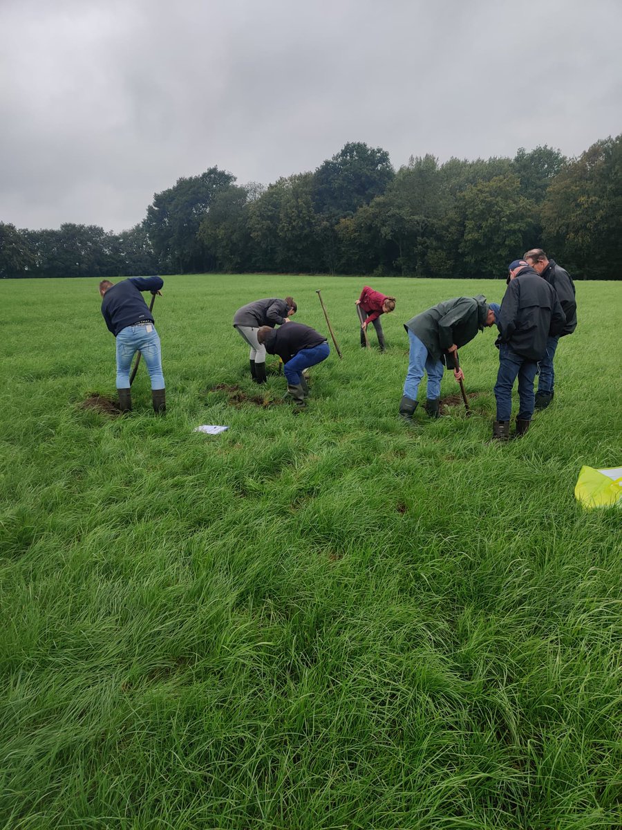 VKON_DenHam's tweet image. Woensdag 30 augustus en 20 september 2023 organiseerden voor de deelnemers uit de proeftuin Circulaire Data een verdiepende workshop profielkuil graven. Deze workshop werd geleid door #bodemexpert René Jochems van @Groeibalans vkon.nl/workshop-profi…
#bodem #proeftuin #workshop