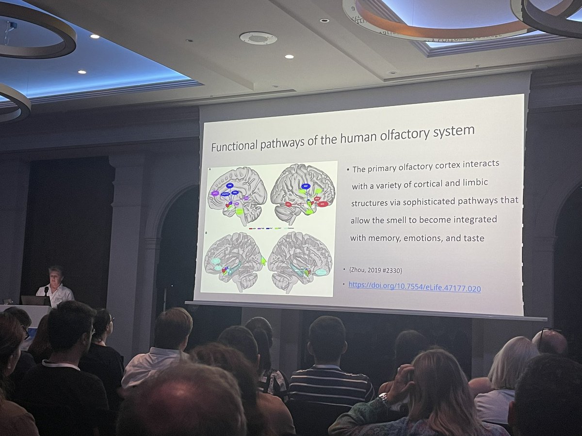 The afternoon session on cranial nerves opens with a comprehensive review of cranial nerves I-VI by Dr Heidi Eggesbø moderated by @ElizabethLoney2 #hnrad
