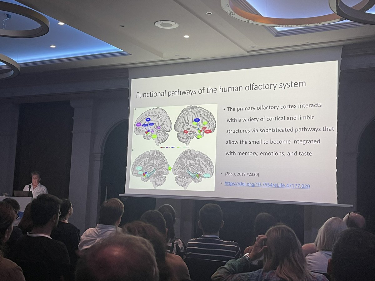 ESHNR (@eshnrsociety) on Twitter photo The afternoon session on cranial nerves opens with a comprehensive review of cranial nerves I-VI by Dr Heidi Eggesbø moderated by <a href="/ElizabethLoney2/">ElizabethLoney</a> #hnrad The afternoon session on cranial nerves opens with a comprehensive review of cranial nerves I-VI by Dr Heidi Eggesbø moderated by <a href="/ElizabethLoney2/">ElizabethLoney</a> #hnrad