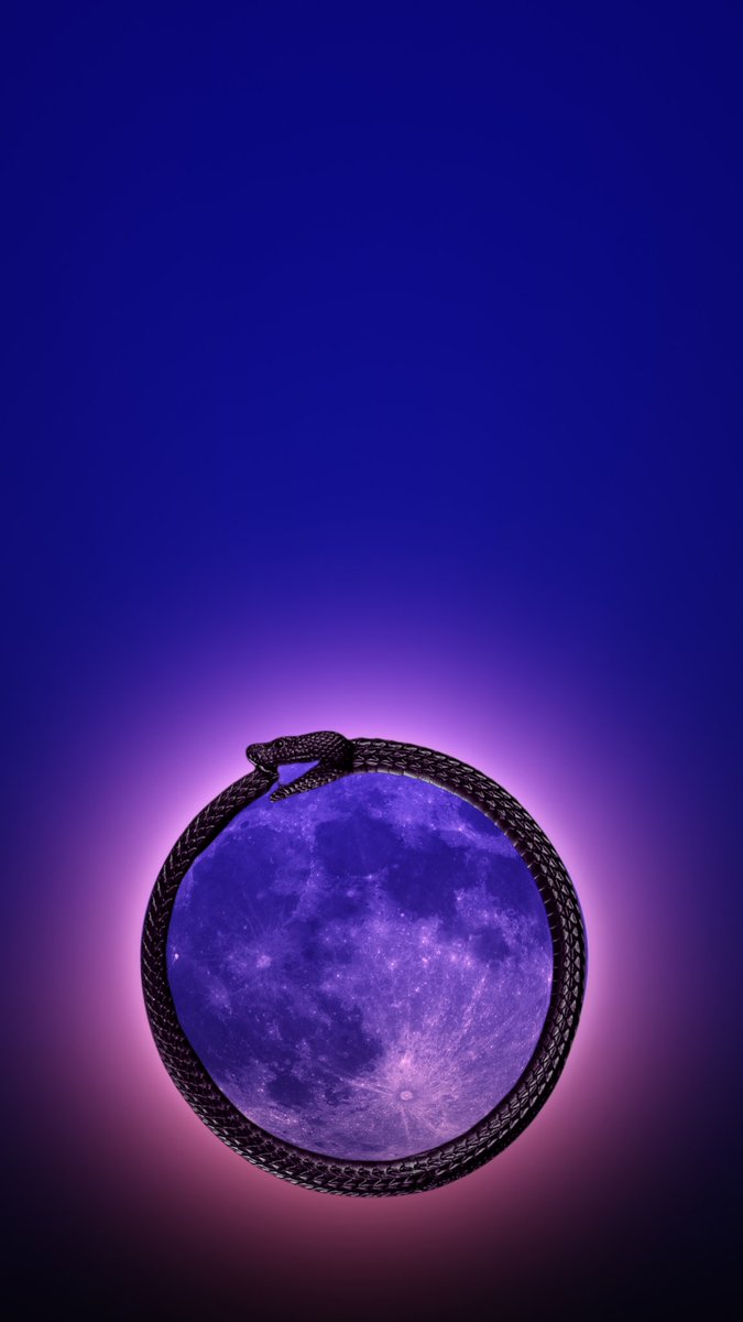 ukiyo_jay's tweet image. Danger Noodle #oroboros #Art