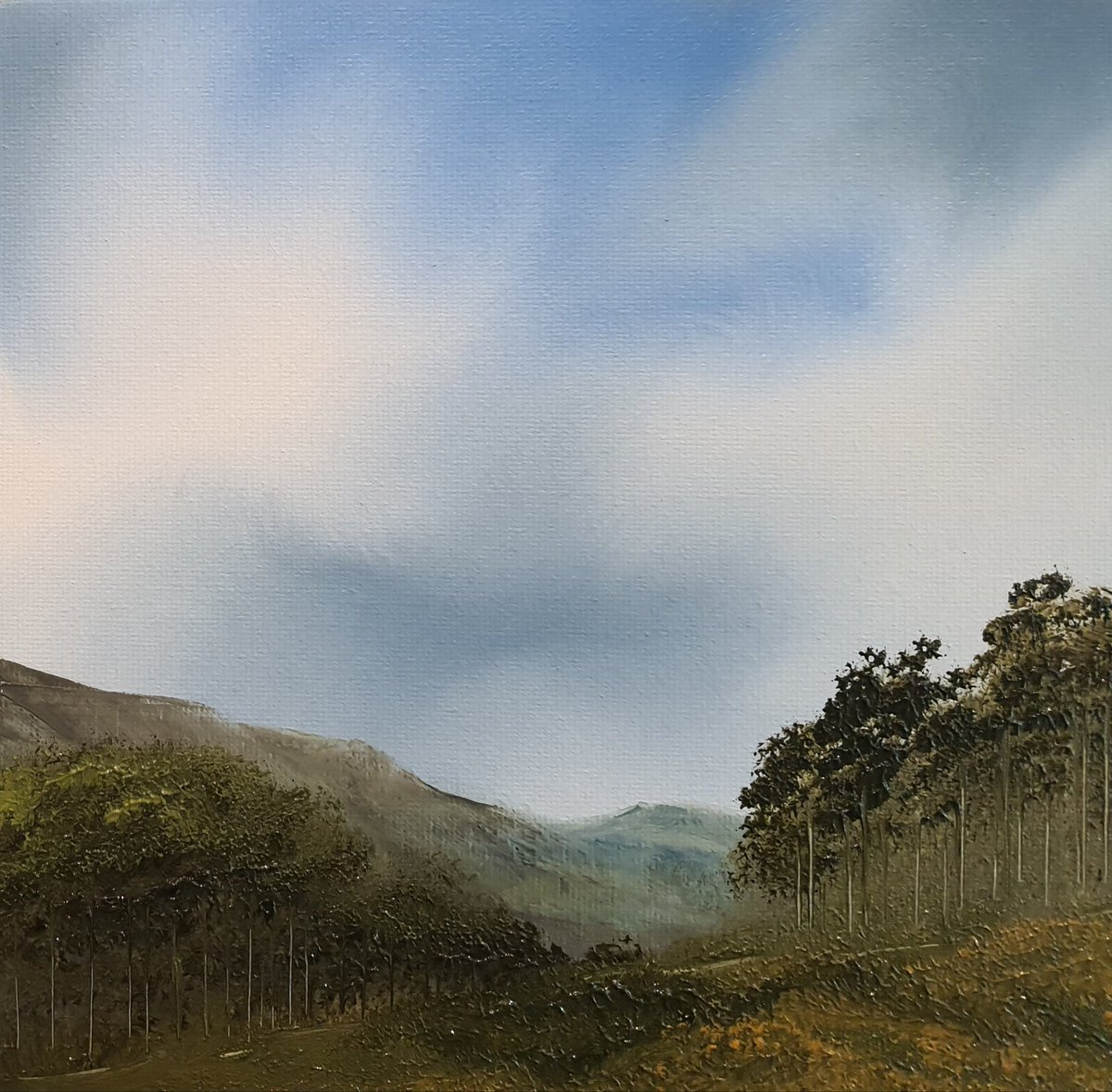 helsbigley's tweet photo. #pineforests #oiloncanvasboard #highlands #highlandsofscotland
#affordableart #LinkInBio https://t.co/yU1j5b2mbq