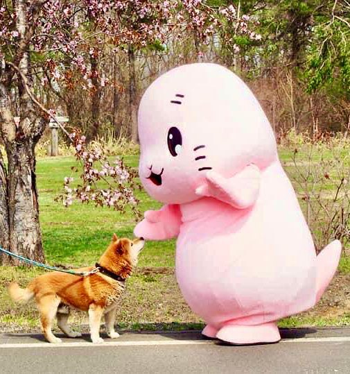 mondomascots's tweet photo. Toyoppy, a pink seal, is the social welfare mascot for a town named Toyokoro in Hokkaido. https://t.co/MOxdCXjdSw