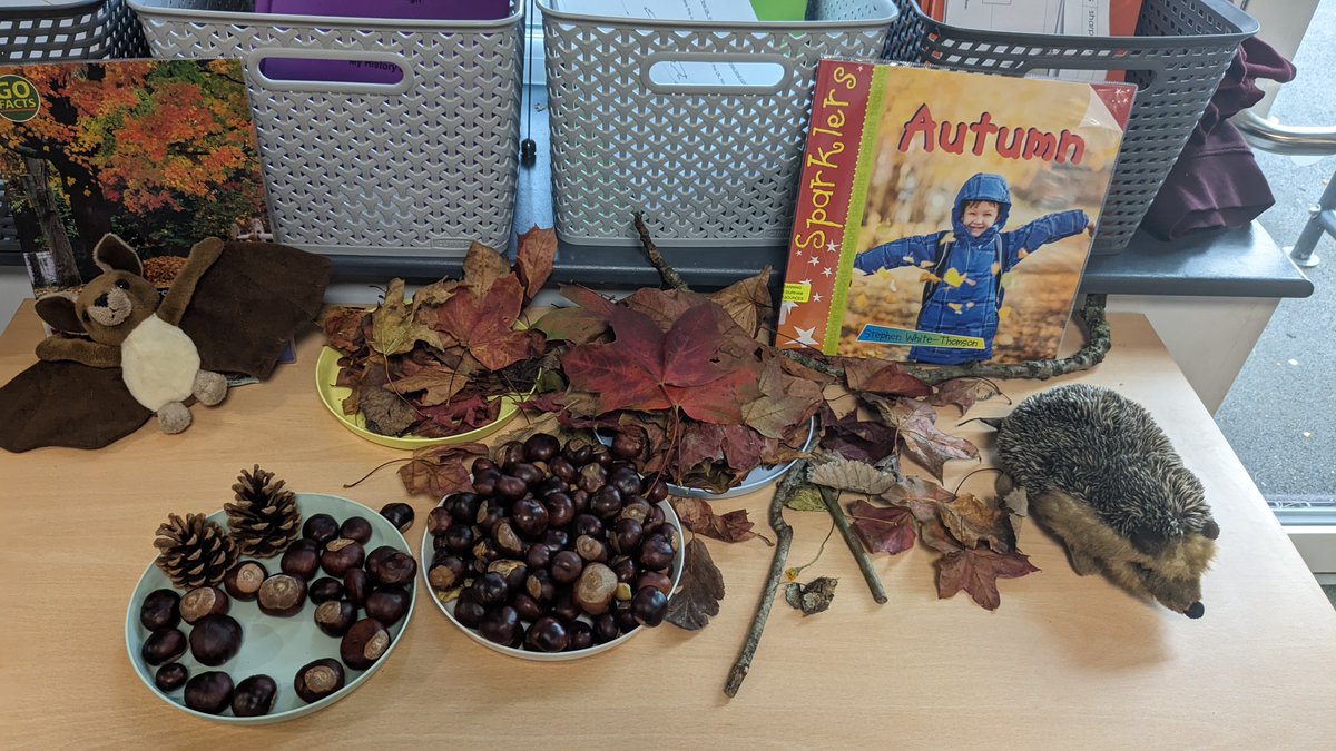 RoadVane's tweet photo. We are over half way through the half term, where is the time going?!

Reception have been learning about different homes.

Year 1 have been collecting signs of Autumn.

Year 2 went for a lovely Autumn walk to spot the seasonal changes. https://t.co/VQr3aUfOhx