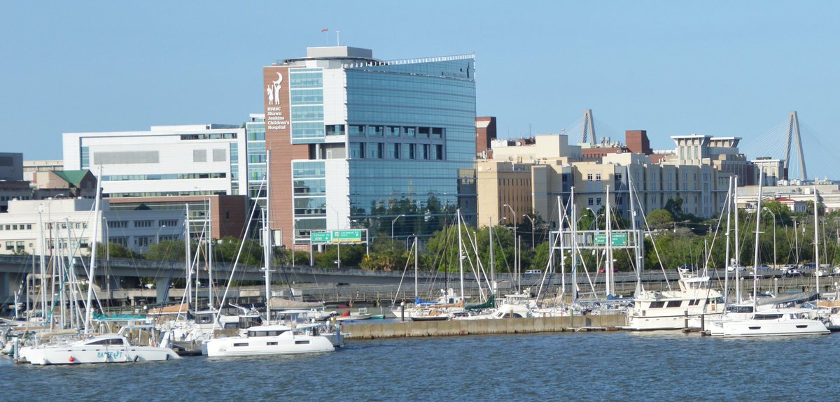 Patrick Mulholland (@mulhollandlab) on Twitter photo ‼️‼️ Spread the word - We have an opening for a #postdoctoral fellowship on our <a href="/NIAAAnews/">NIAAA News</a> #T32 training grant - preclinical and clinical @CharlestonARC faculty mentors are available - contact me for more information ‼️‼️ Spread the word - We have an opening for a #postdoctoral fellowship on our <a href="/NIAAAnews/">NIAAA News</a> #T32 training grant - preclinical and clinical @CharlestonARC faculty mentors are available - contact me for more information