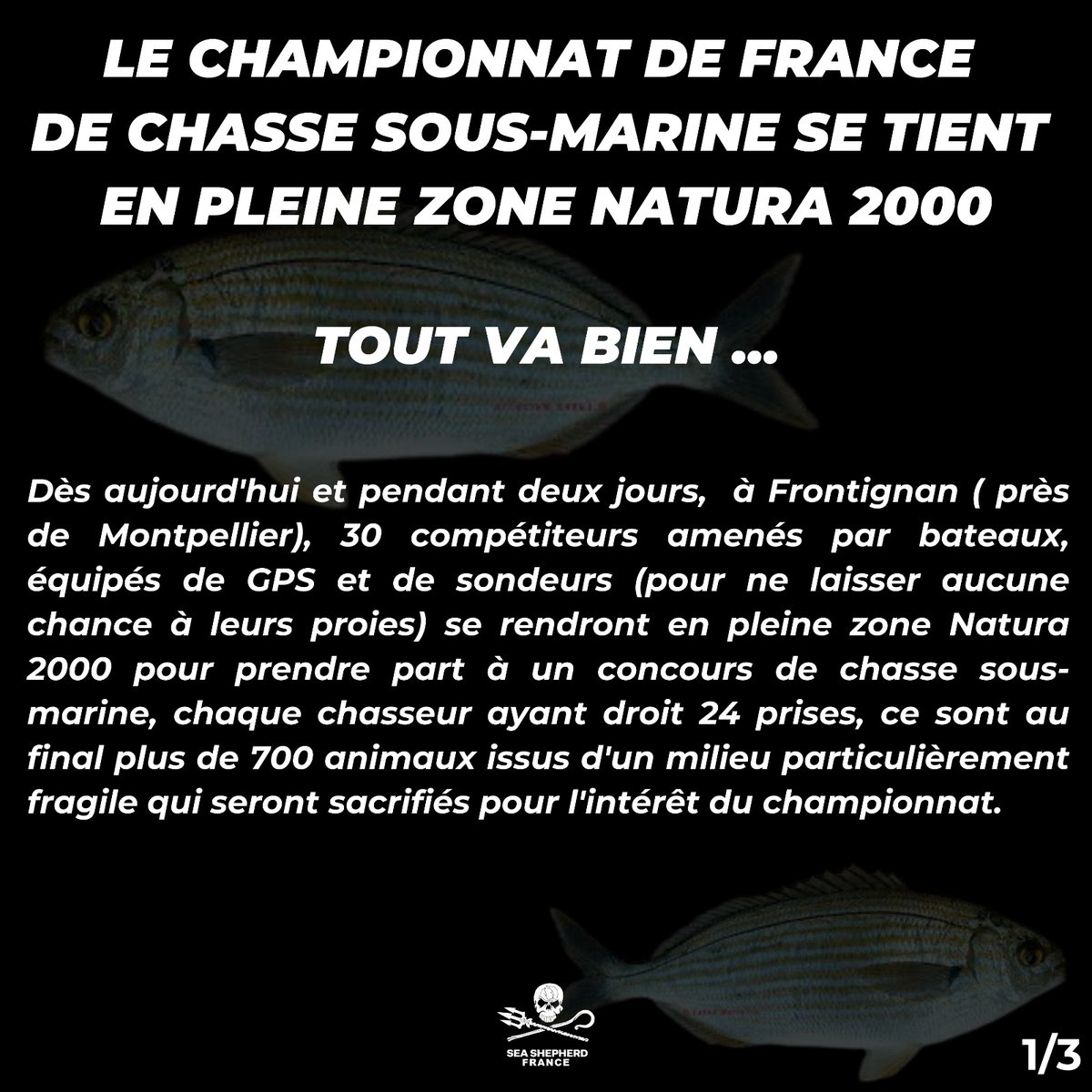 Sea Shepherd France tweet media