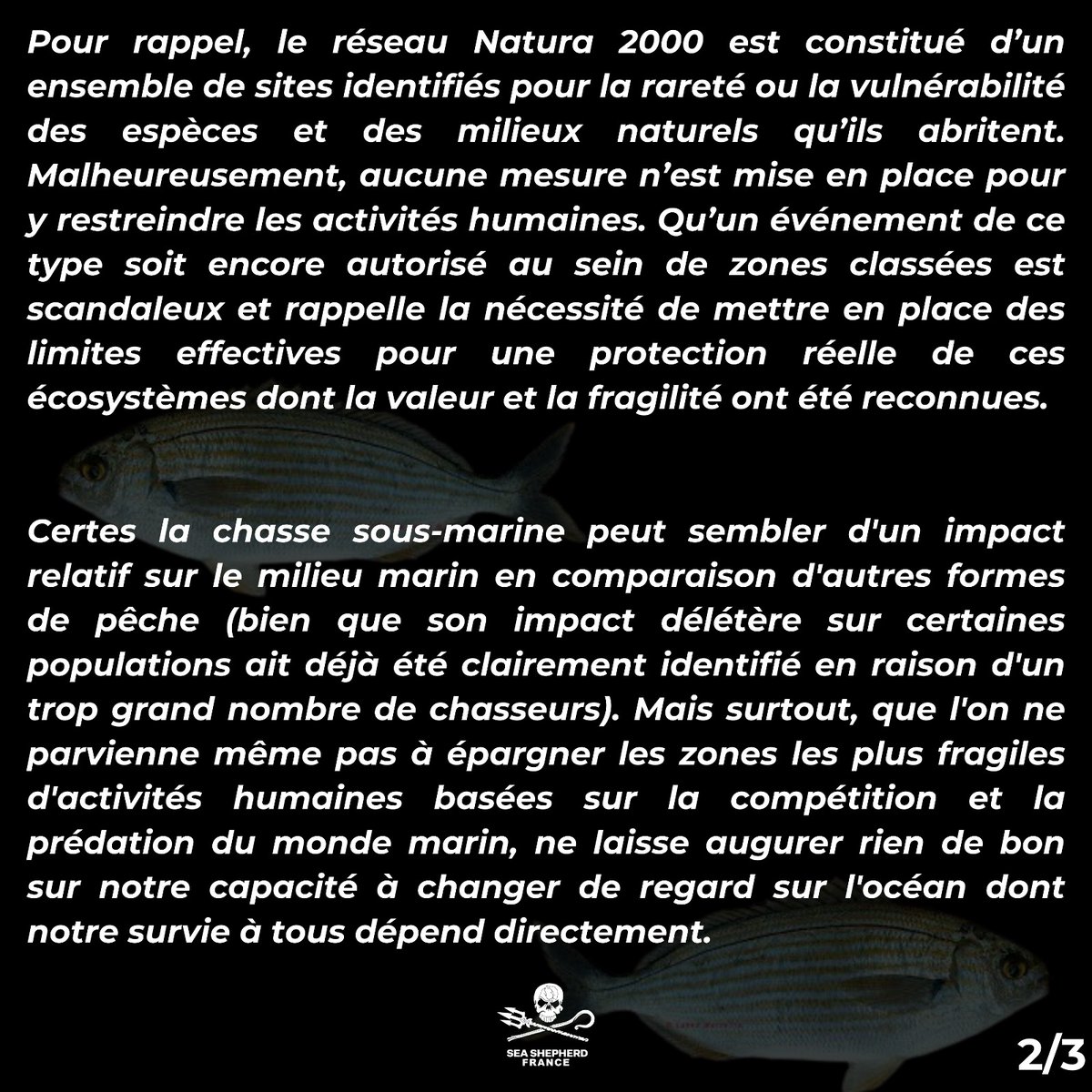 Sea Shepherd France tweet media