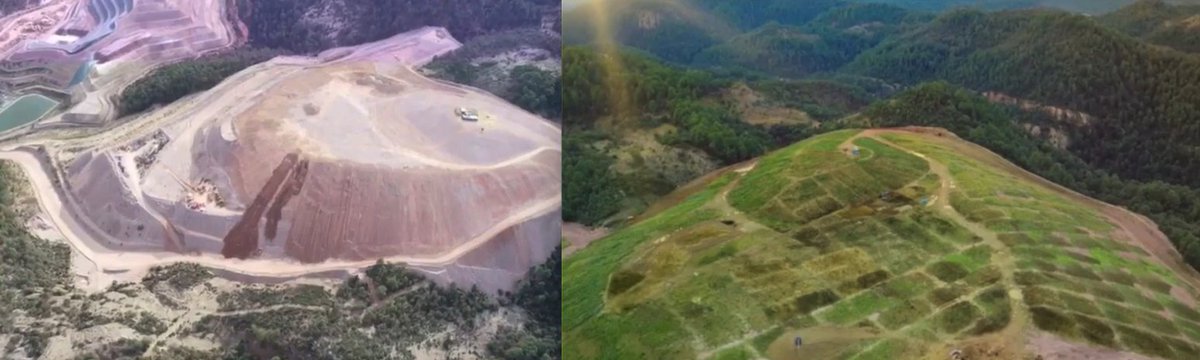 samdknowlton's tweet image. This abandoned mine site went from a barren wasteland to a verdant ecosystem teeming with soil and plant life within a year.

How? The intelligent use of cattle.

Mine tailings are the rocky waste materials left over from processing metal ores. Without elaborate and expensive…