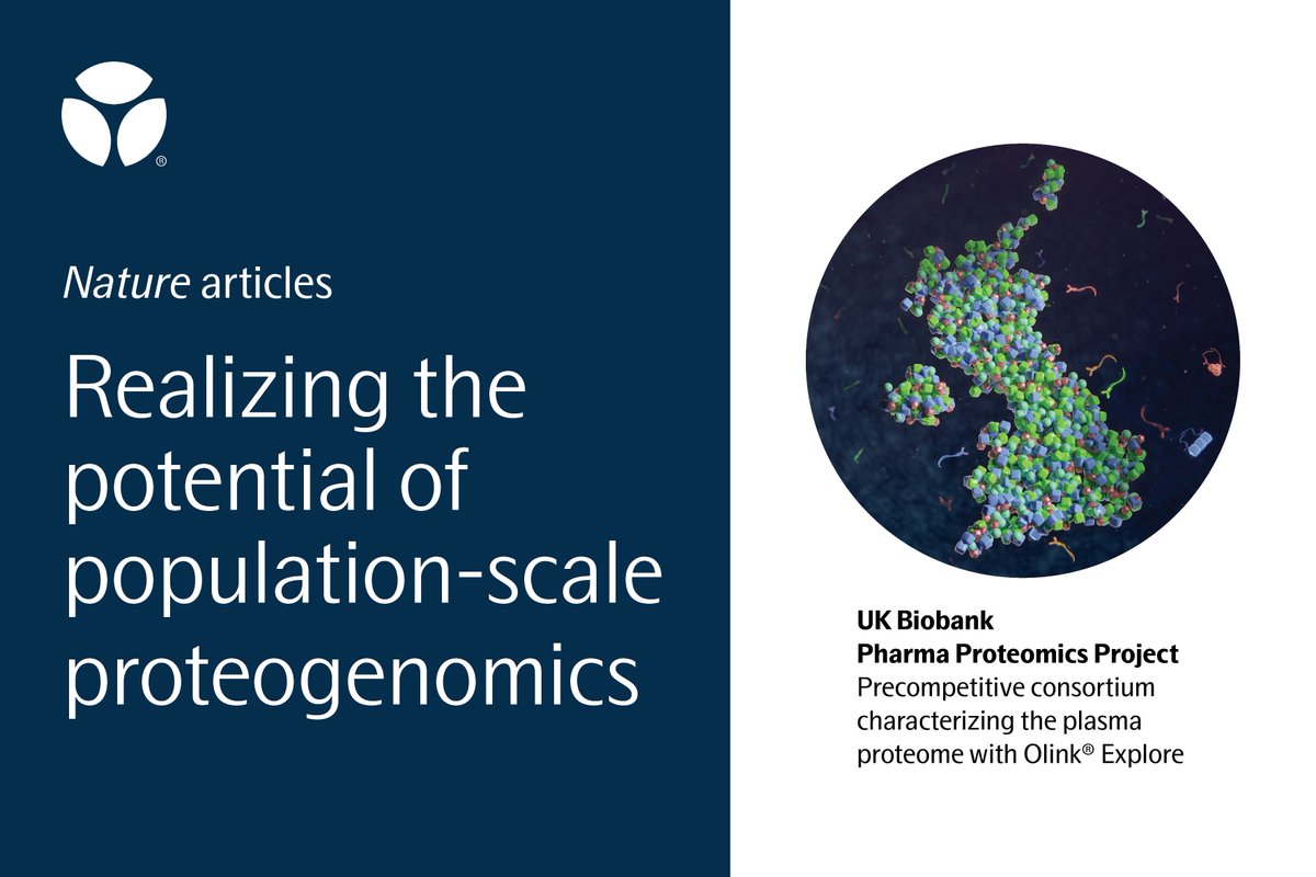 3 new <a href="/Nature/">nature</a> articles reveal the power of population-scale proteogenomics with Olink® Explore, unveiling novel gene-protein links to improve disease risk management &amp; drug development. Learn more: bit.ly/45jX1Hp

<a href="/uk_biobank/">UK Biobank</a> #genomics #biomarkers #proteomics #multiomics