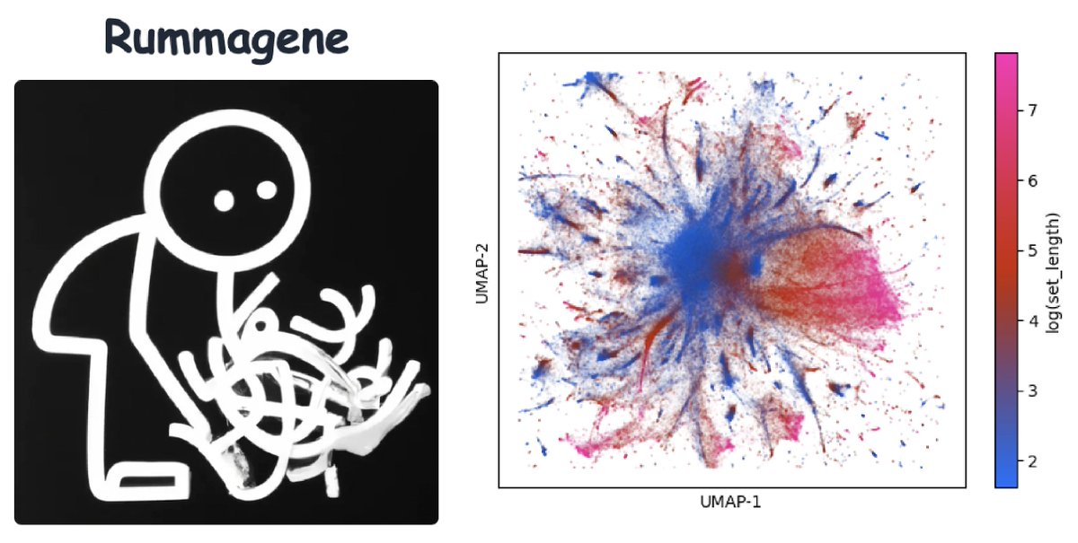 Say hello to #Rummagene available from: rummagene.com. To create it @maayanlab scanned supp. materials of 5.4M #PMC articles to find 642K human gene sets. Sets are served for enrichment, free text, and table title search. Paper is now on @biorxiv biorxiv.org/cgi/content/sh…