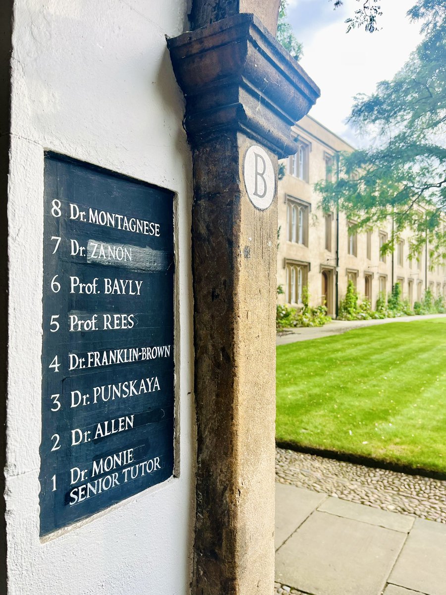 Marcella Montagnese tweet media